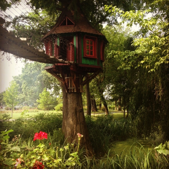 Tree House Кишинев