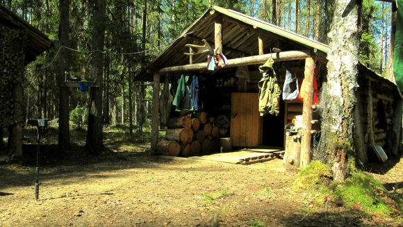 Избушка в Лесной глуши