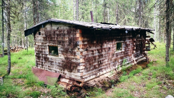 Отшельники в тайге