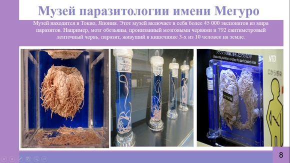 Необычная презентация сантехники на мероприятии