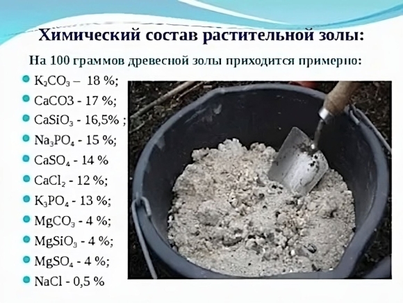 Состав золы древесной как удобрения