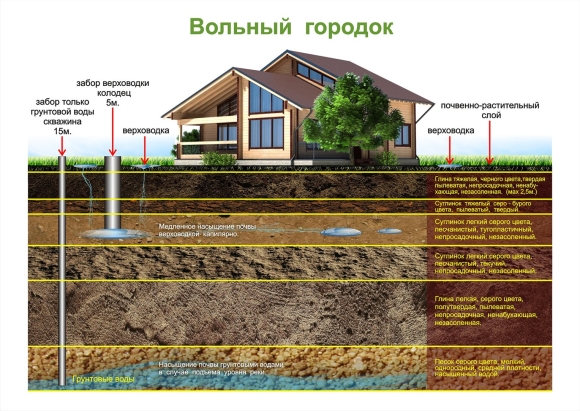 Характеристика верховодки