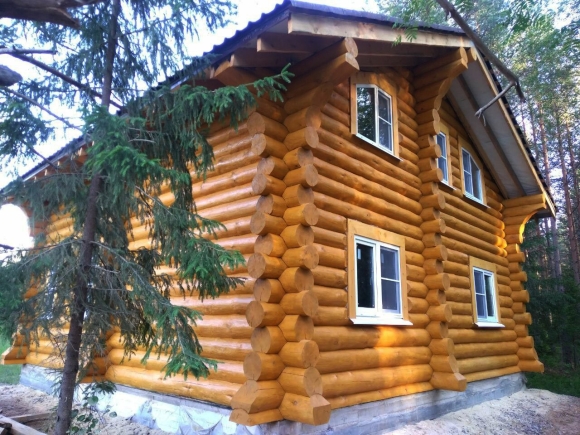 Карельская сосна оцилиндрована