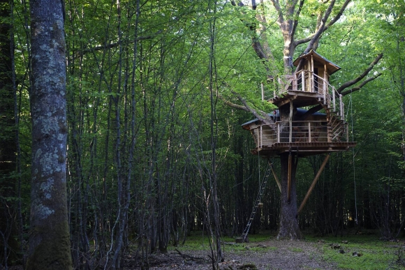 Tree House кокон