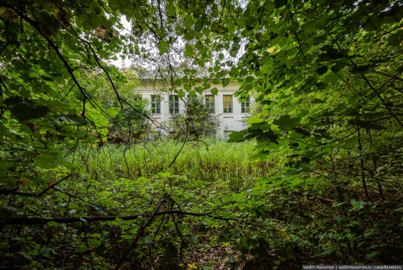 Воронино болото Истринский район
