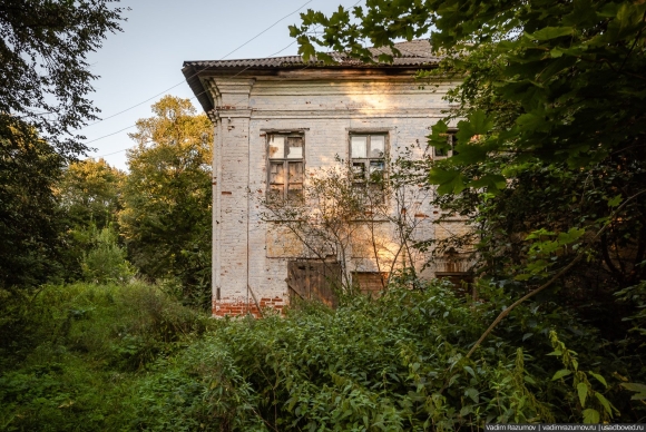 Воронино Московская область