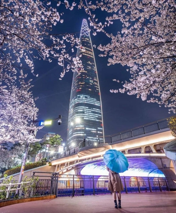 Lotte World Южная Корея