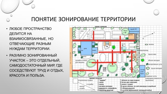 Функциональное зонирование территории