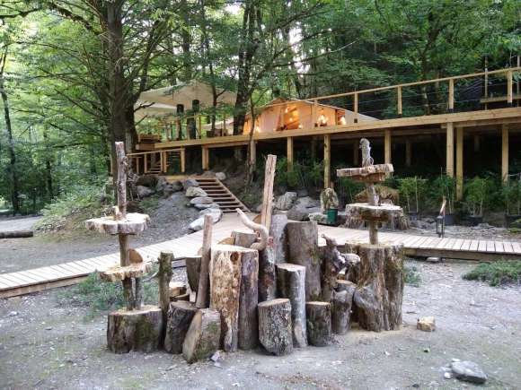 Глэмпинг лес красная Поляна