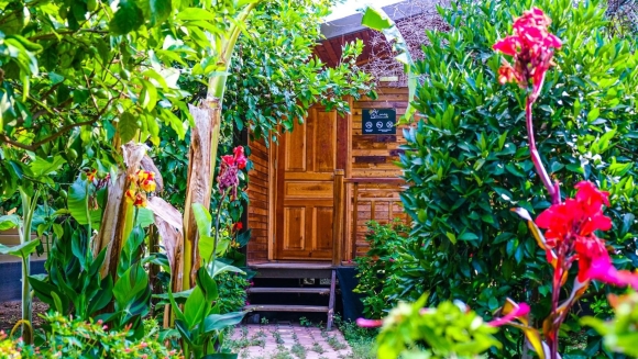 Lemon Garden