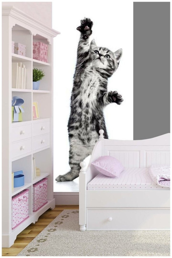 Фотообои котики