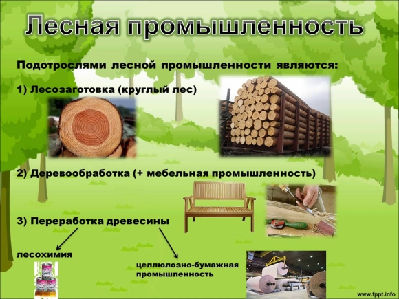 Лесная и деревообрабатывающая отрасли