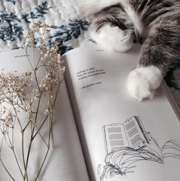 Книги и кот Эстетика