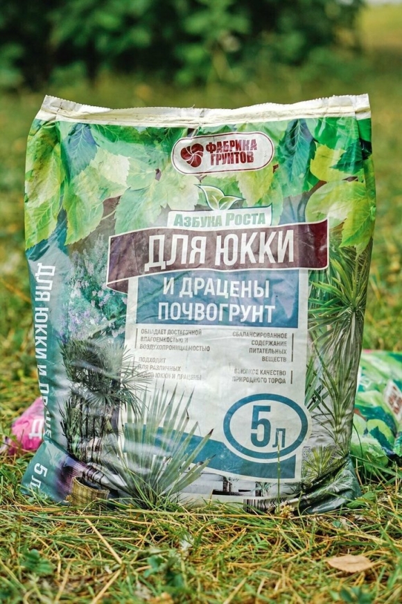 Земля для Юкки