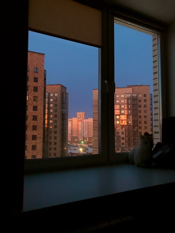 Виды окон