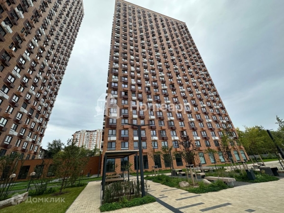 Перовское шоссе брусника
