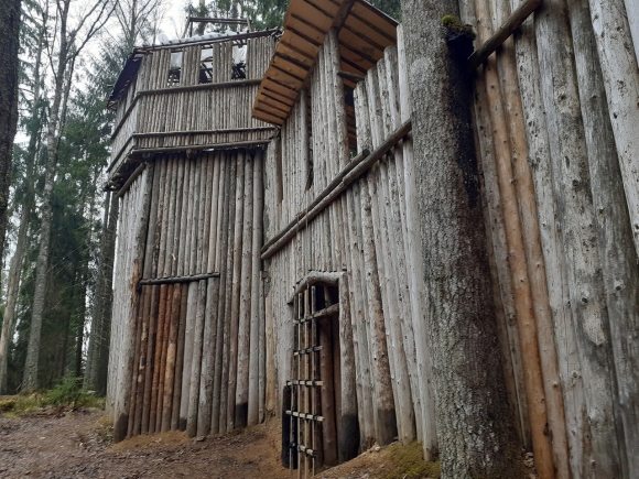 Лемболово деревянная крепость в лесу
