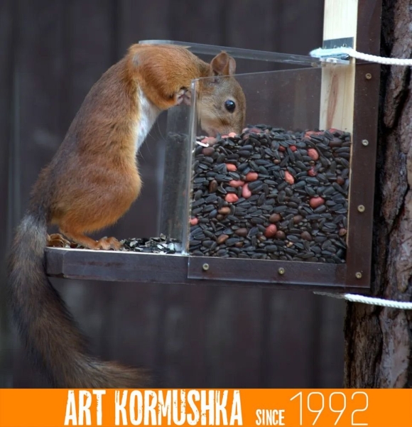 Кормушка для белки