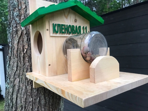 Кормушка для белки