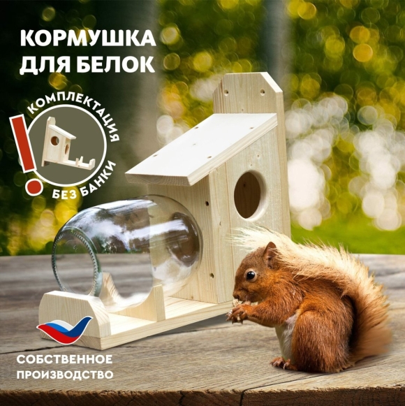 Бельчатник с кормушкой