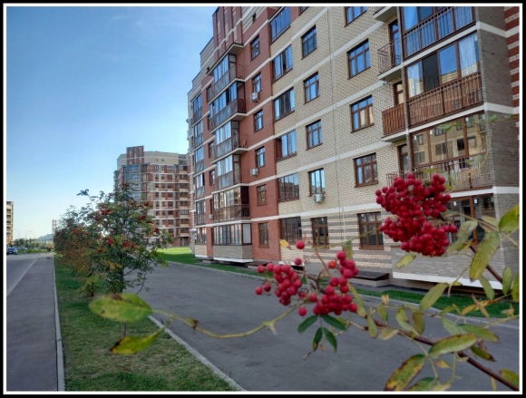 Улица семена гордого