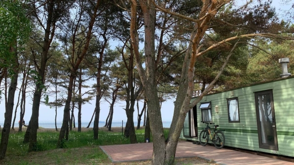 Пляж Куликово Калининградская