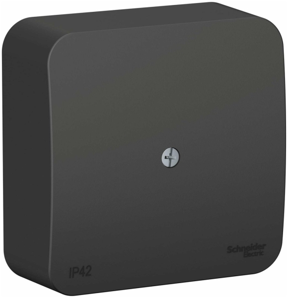 Schneider Electric Blanca антрацит