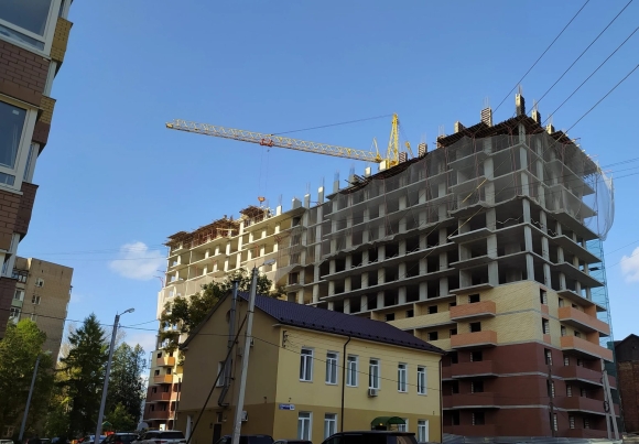 Светлояр Ярославль Подсолнухи