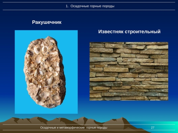 Ракушечник Горная порода