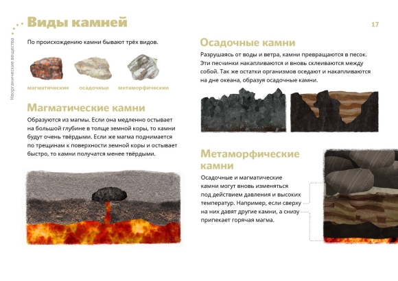 Камни магматические осадочные метаморфические