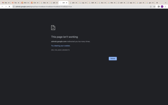 Error too many redirects
