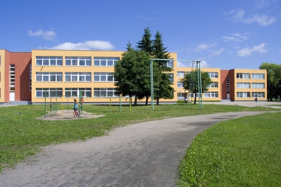 Школа в Пулковском