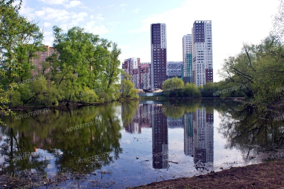 Garden Park Эдальго