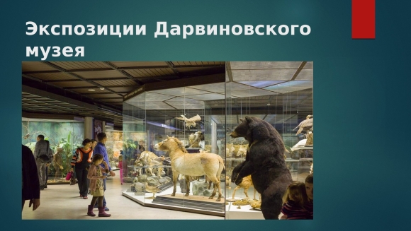 Дарвиновский музей презентация для детей