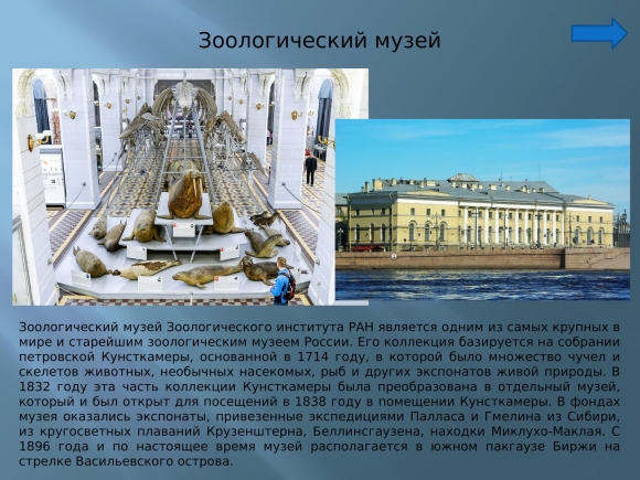 Зоологический музей стрелка Васильевского острова