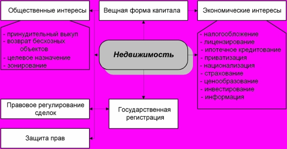 Недвижимость как объект экономических и государственных интересов