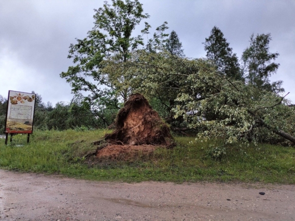 Деревня крапивки в Смоленской обл
