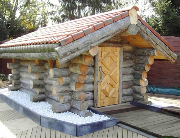 Полярная сосна кело