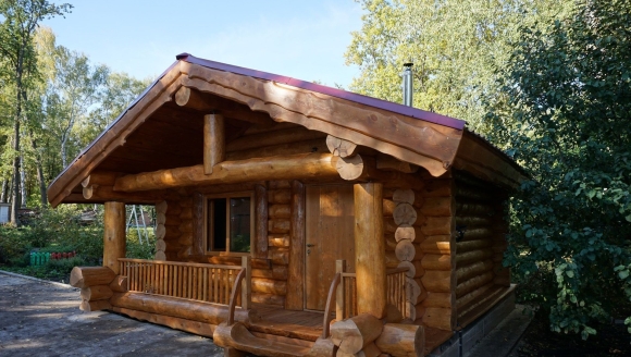 Дикий сруб Зимница