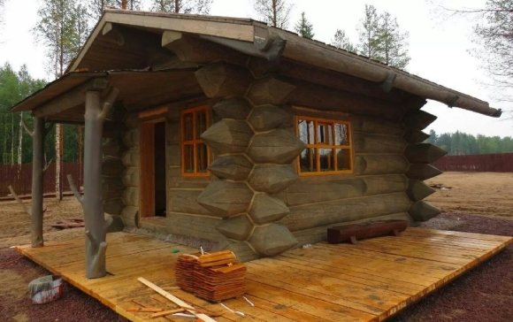 Полярная сосна кело