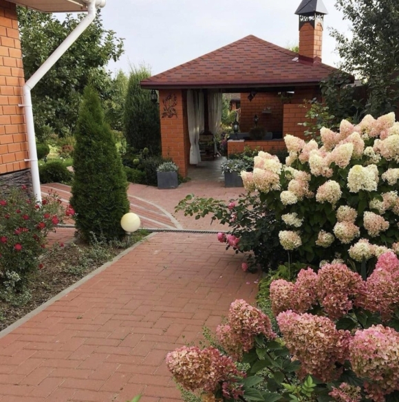 Гортензия Ванилла Фрейз Живая изгородь