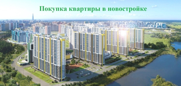 ЖК Шуваловский ЛСР