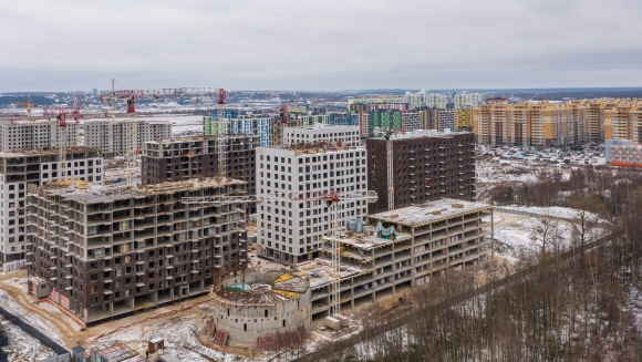 Янинский лес ход строительства
