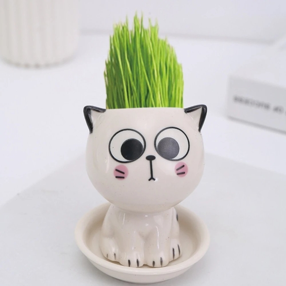 Мини кошка