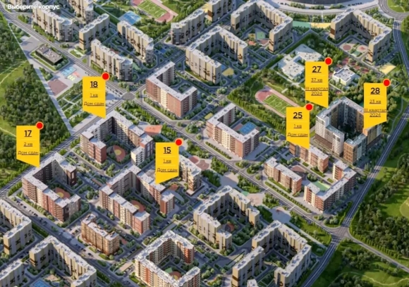 Новое Пушкино генплан