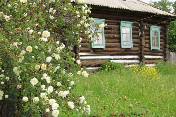 Деревенская избушка Есенин