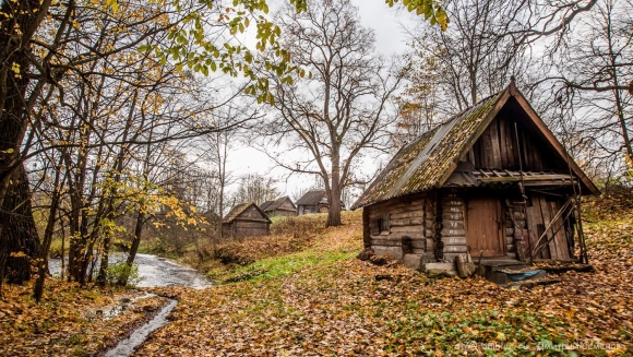 Домик на окраине леса