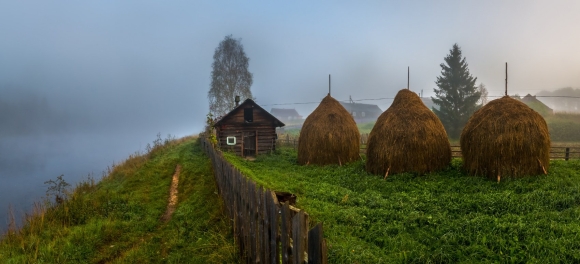 Федор Лашков Вепсский лес