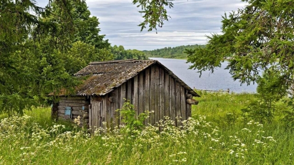 Деревенский домик в лесу
