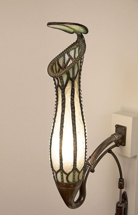 Long Hanging Lamps and Plants